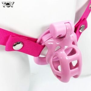 chastity-lock-double-curved-shape