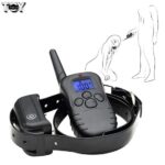 electric-shock-chastity-collar-remote-kinky