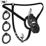 adjustable-male-chastity-cage-with-anal-plug-2